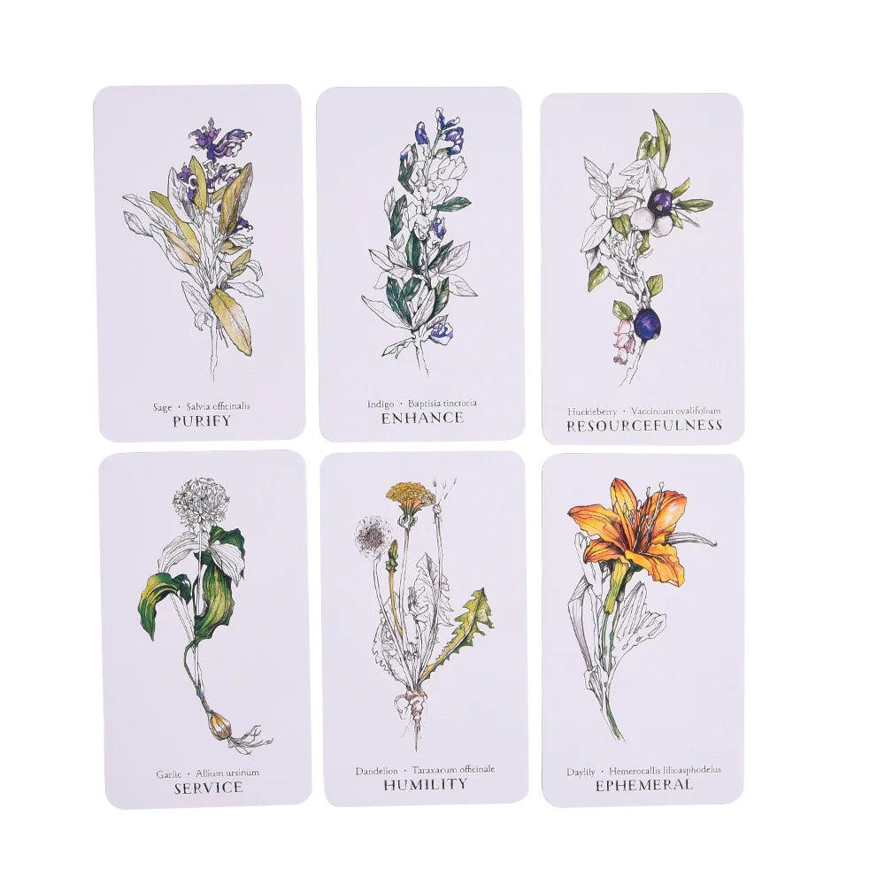 Hedge Witch Botanical Oracle Tarot